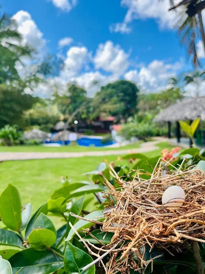Hotel Rincon Rubi Las Galeras